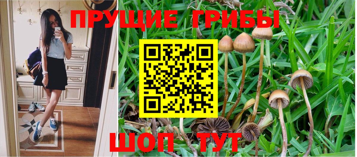 Рузаевка  Галлюциногенные грибы Psilocybine cubensis  даркнет сайт  Вход с VPN 